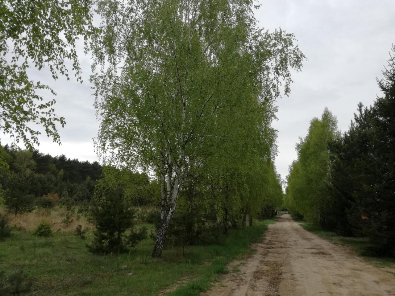 Szydłówiec Anastazewo Exterior foto